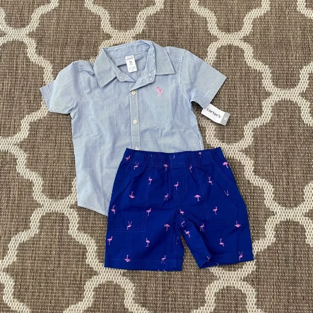 Carter’s baby boy clothes size 3T